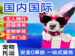 腾鳌航空托运国际宠物托运 【国